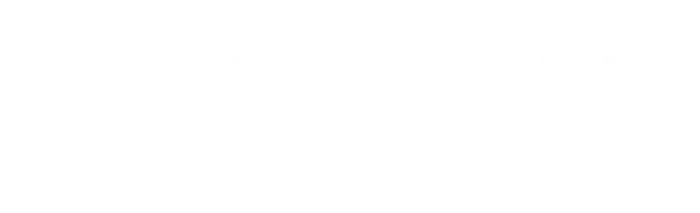 NECANN-logo-white